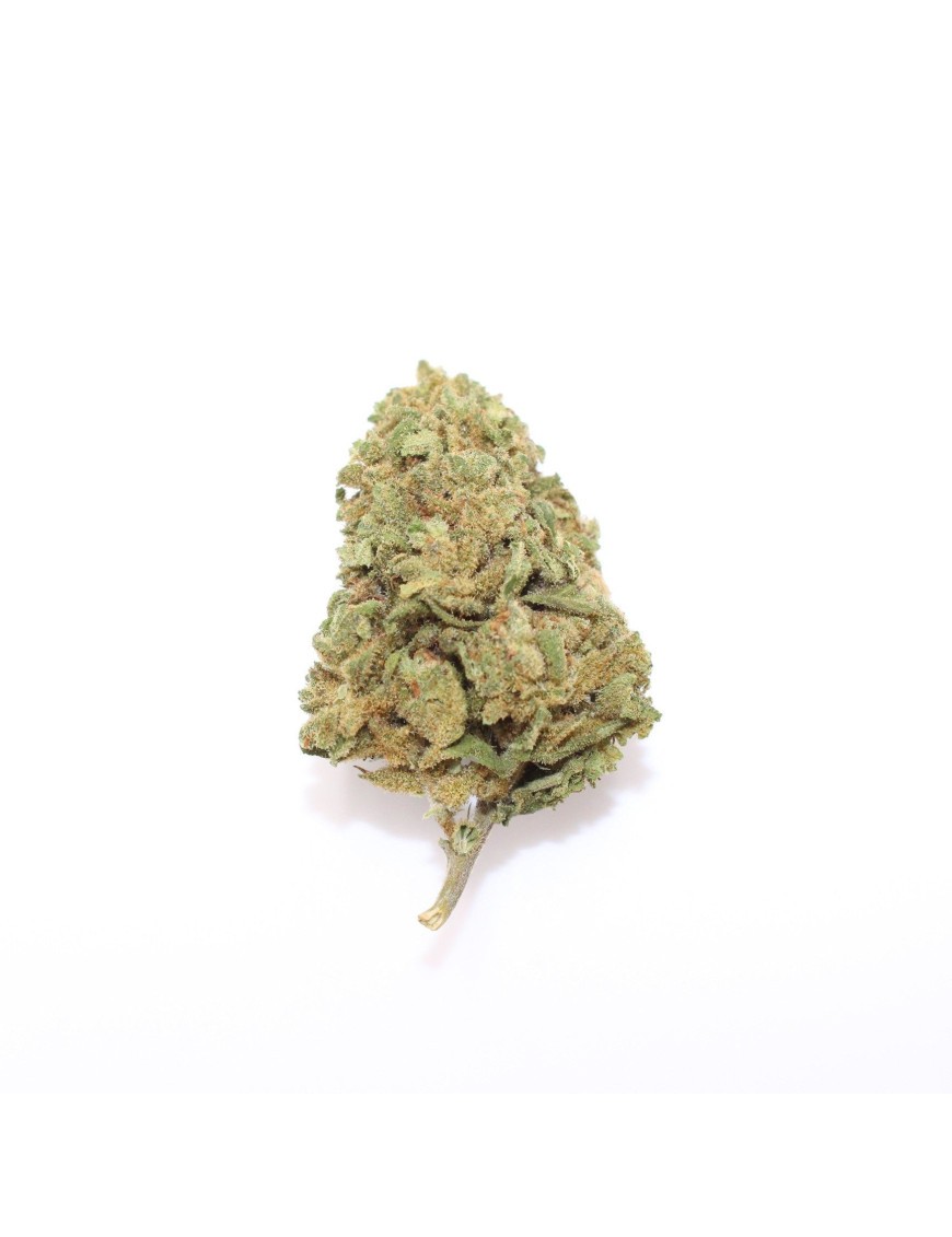 Fleurs de CBD - Ice Kush