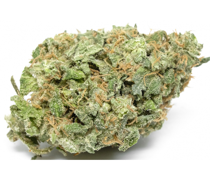 Fleurs de CBD - White Widow