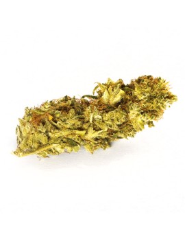 Fleurs de CBD - Limoncello