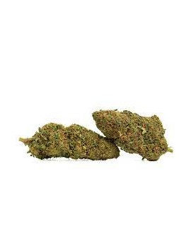 Fleurs HHC - Cookies Kush