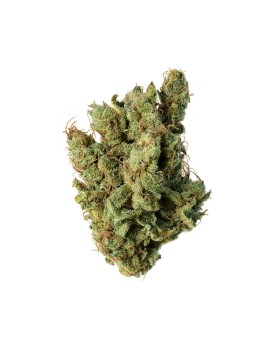 Fleurs HE - Super silver haze