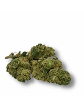 Fleurs de CBD - CT x HQ