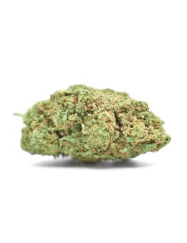 Fleurs de CBD - Acapulco