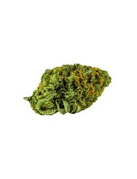 Fleurs HE - Orange Bud