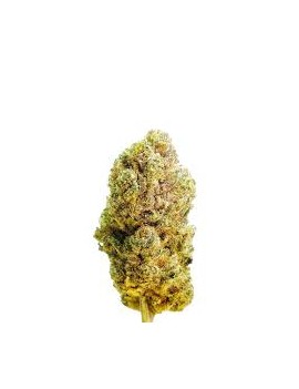 Fleurs de CBD - Blueberry