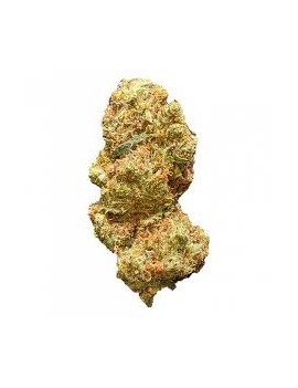 Fleurs de CBD - Rainbow