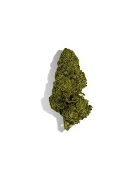 Fleurs de CBD - Yuzu