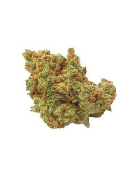 Fleurs de CBD - Diesel Tonic