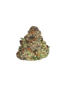 Fleurs de CBD - Sinaloa