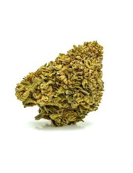 Fleurs HE - Gorilla