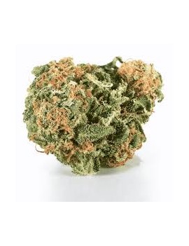 Fleurs de CBD - Apple Drip