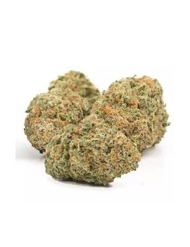 Fleurs HE - Watermelon