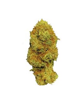 Fleurs HE - Diamond Sugar