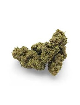 Fleurs HE - Wedding cake