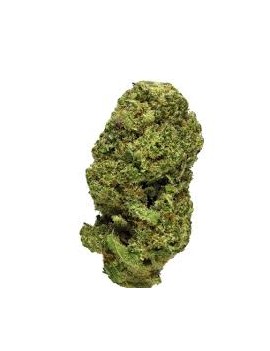 Fleurs de CBD - Amnesia Haze