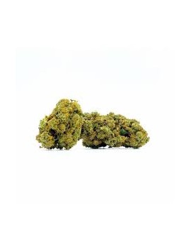 Fleurs CBC - Orangello