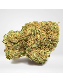 Fleurs Amnesia CBD premium...