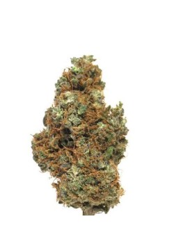 Fleurs Tropical Dream CBC...