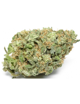 Fleurs de CBD - White Widow