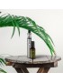 VAP PEN / Recharges & E liquides