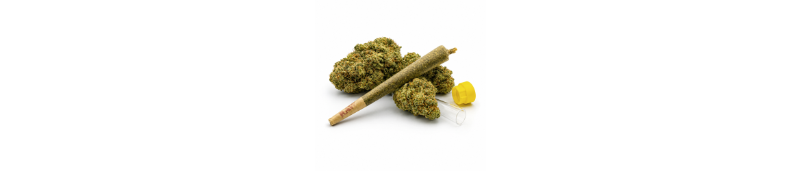 Fleurs de CBD & Pré-Rolls Premium  Qualité Supérieure & Arômes Authentiques