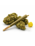 Fleurs Indoor & Pre roll