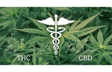 Quelles sont les différences entre le CBD et le THC ?