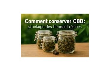 Comment conserver ses fleurs de CBD ? Le guide complet pour préserver leur qualité