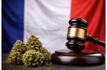 Le CBD est-il légal en France en 2026 ?